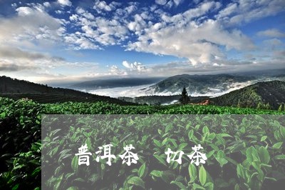 普洱茶 切茶/2023042807469